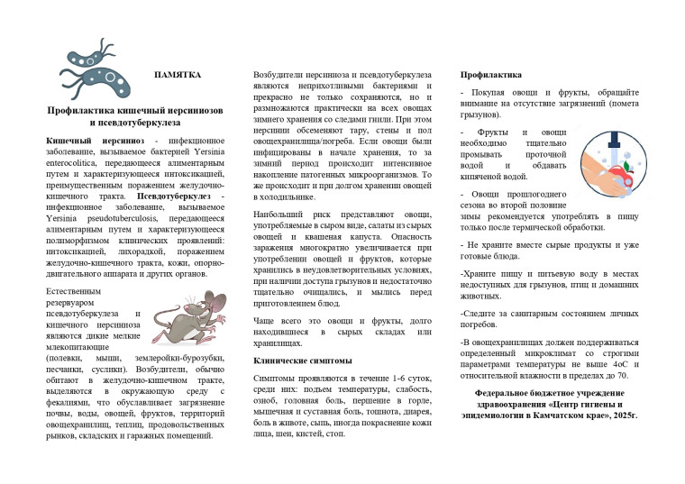 Профилактика кишечных иерсиниозов и псевдотуберкулеза.